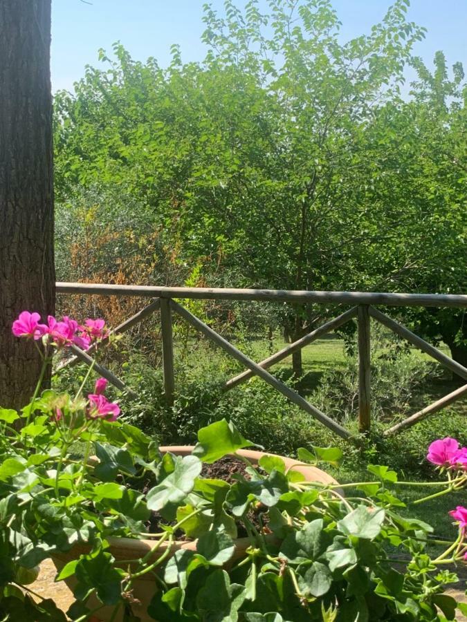 Bed and Breakfast Il Lauro San Costanzo Экстерьер фото