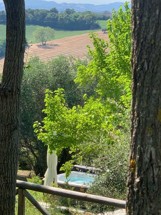 Bed and Breakfast Il Lauro San Costanzo Экстерьер фото