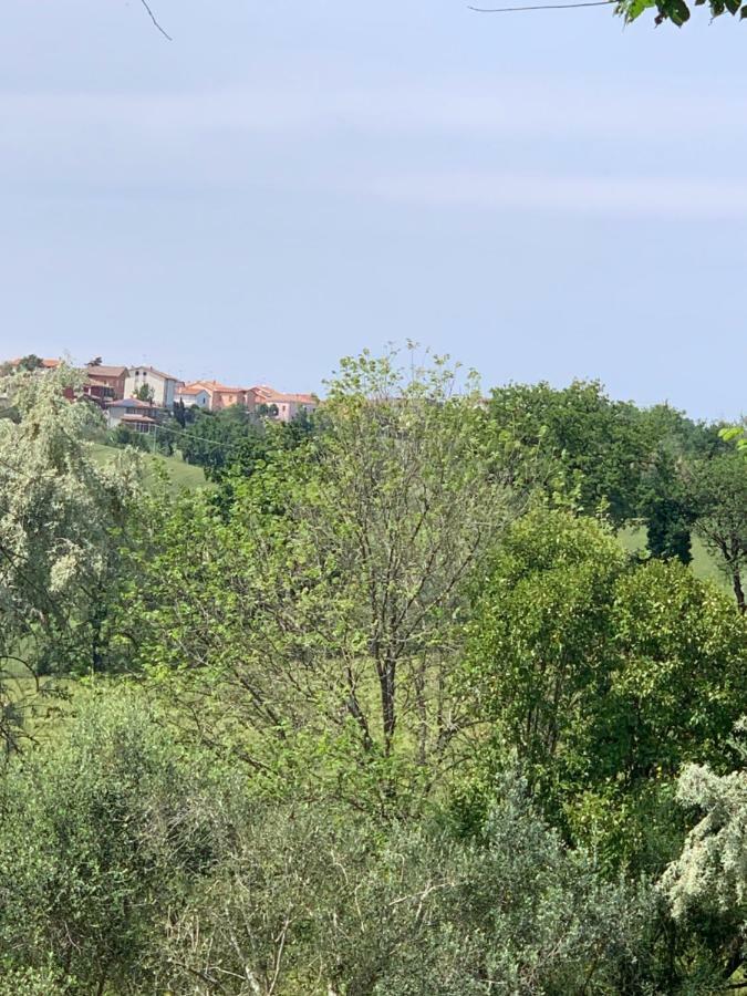 Bed and Breakfast Il Lauro San Costanzo Экстерьер фото