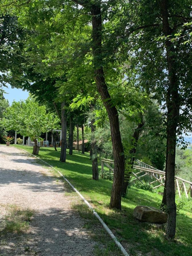Bed and Breakfast Il Lauro San Costanzo Экстерьер фото