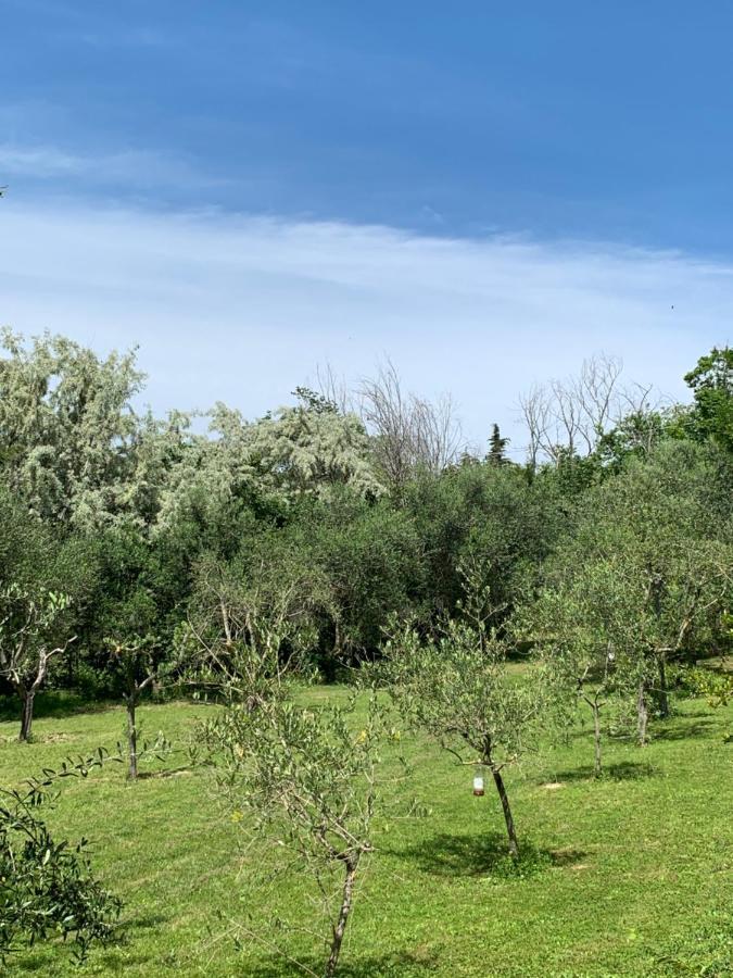 Bed and Breakfast Il Lauro San Costanzo Экстерьер фото